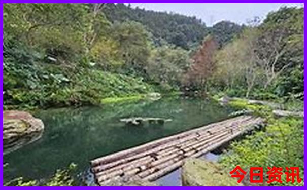 湖北有什么好玩的地方旅游景点